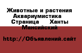 Животные и растения Аквариумистика - Страница 2 . Ханты-Мансийский